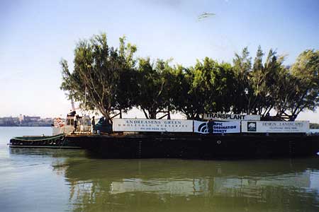 We were also responsible for the transport by barge of 90 figs trees comprising six separate trips, a 1000 kilometres down the Australian coast from the Queensland/New South Wales border to Sydney Harbour and then to their final planting spot at the Sydney Olympic site at Homebush.