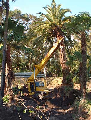WE MAY BE OUT MOVING A FEW OF OUR TREES. THE BEST WAY TO GET A HOLD OF US IS TO USE OUR ONLINE CONTACT FORM..
